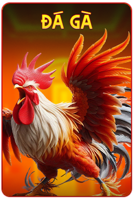 đá gà