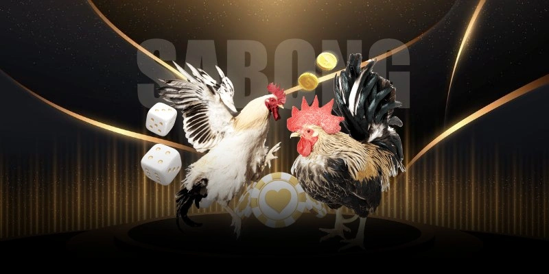 Đá gà cựa sắt được trực tiếp theo thời gian thực